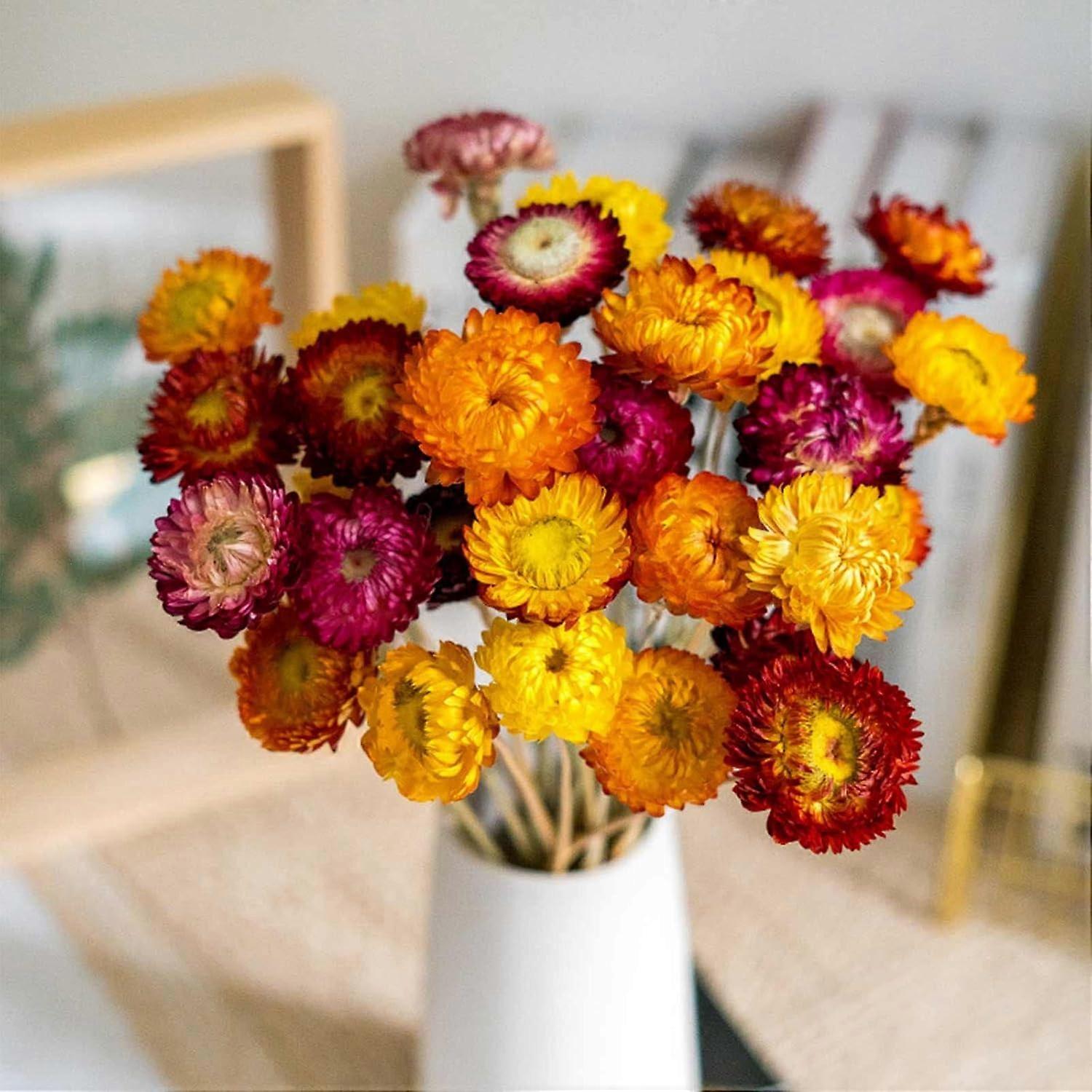 SBSG Natural Dried Daisy Flowers Bouquet - 20 Pcs Multicolor Daisies Dried Sunflowers Chrysanthemum, Dry Flower Arrangements for Wedding, Farmhouse Ta