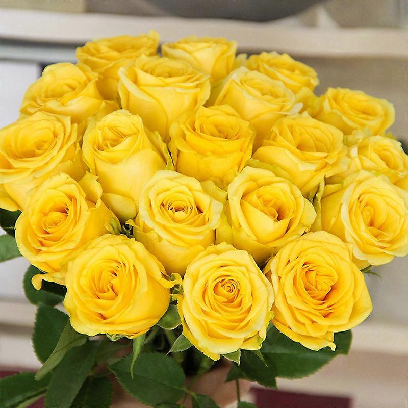 10 قطع الورود الصفراء الزهور الاصطناعية. طويل الجذعية الفردية لمسة حقيقية روز فو