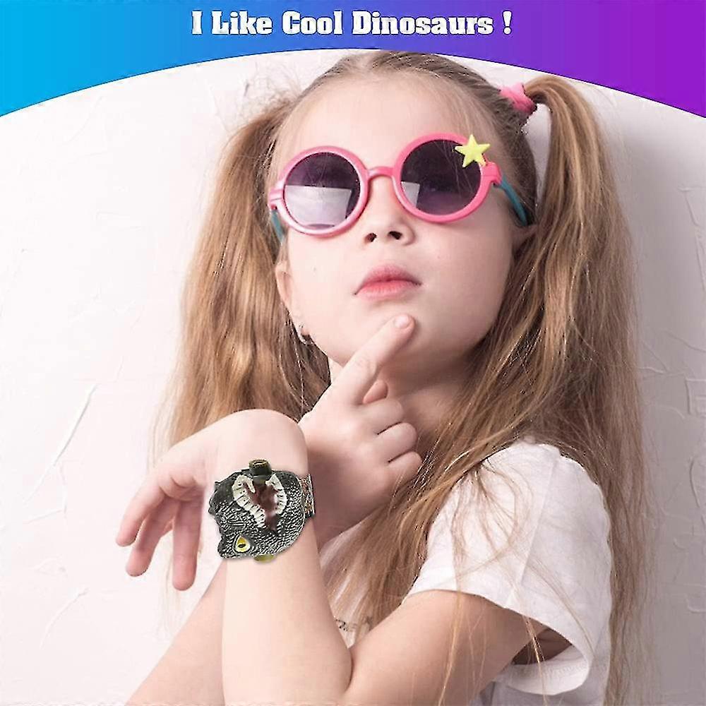 Dinosaur Projector Watch main image 1