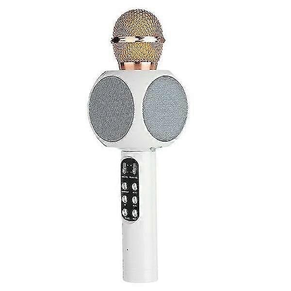 Professional Bluetooth Wireless Microphone Speaker Handheld Microphone Karaoke Mic Music Player Singing Recorder Ktv Microphone