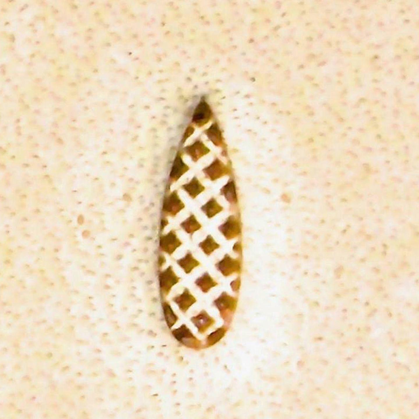 Craft Sha Leathercraft Tool Fine Slender Matting Leather Stamp 2mm x 6mm A104