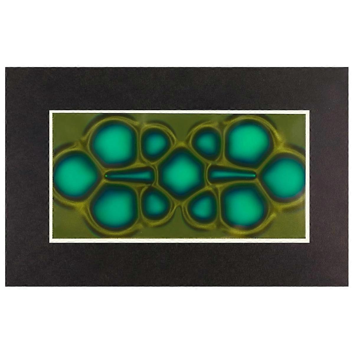 Magnetic Viewing Film, 2inchx 4inch Magnetic Field Viewer