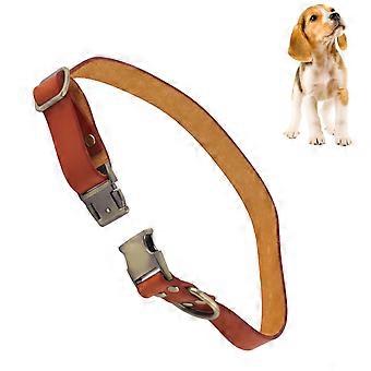 Soft Padded Leather Dog Collar with Engraved Buckle Orange 26-42cm