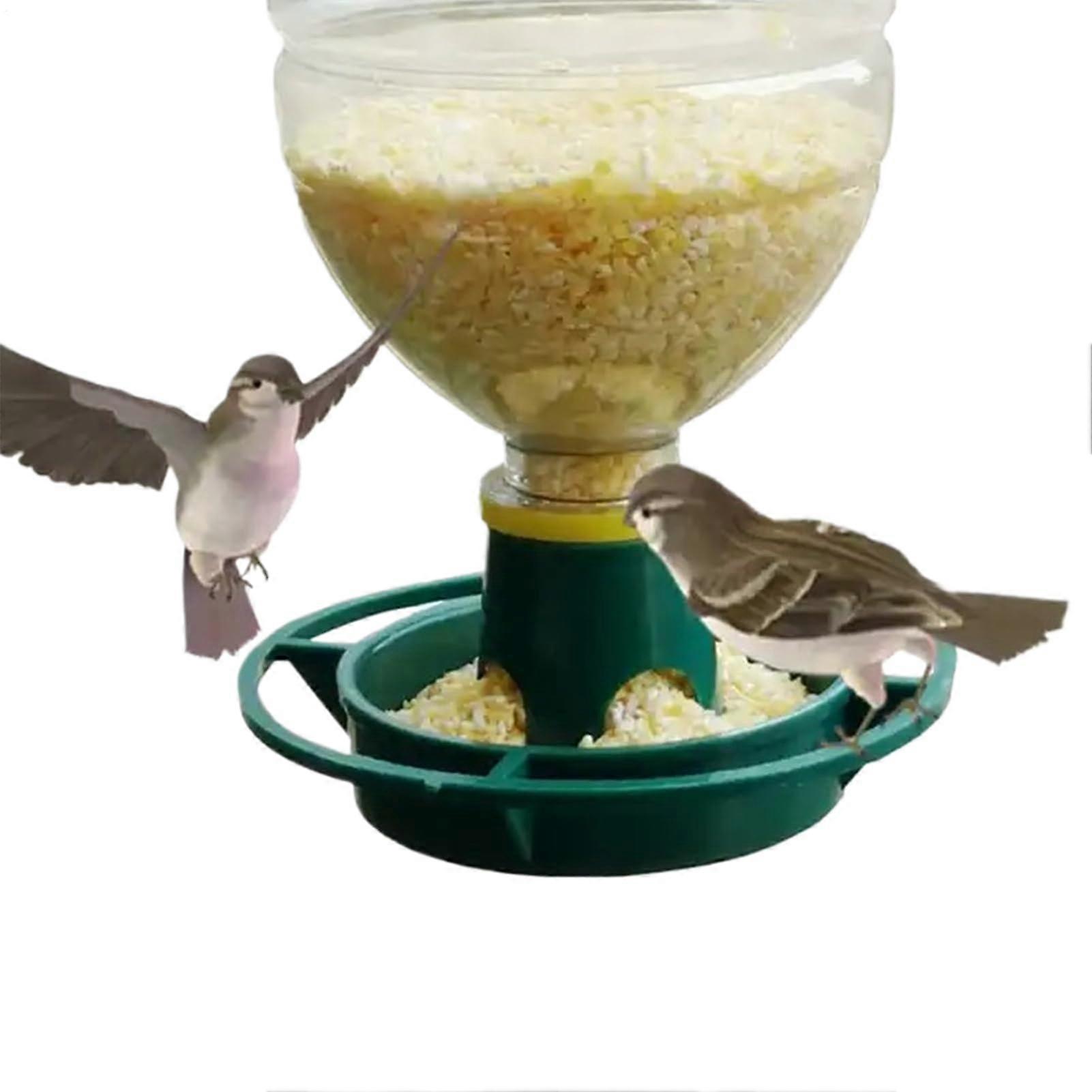 Wild Bird Feeder Garden Parrot Feeder Hanging Drinking and Feeder for Parrots with Attachment for Patio, Balcony and Garden