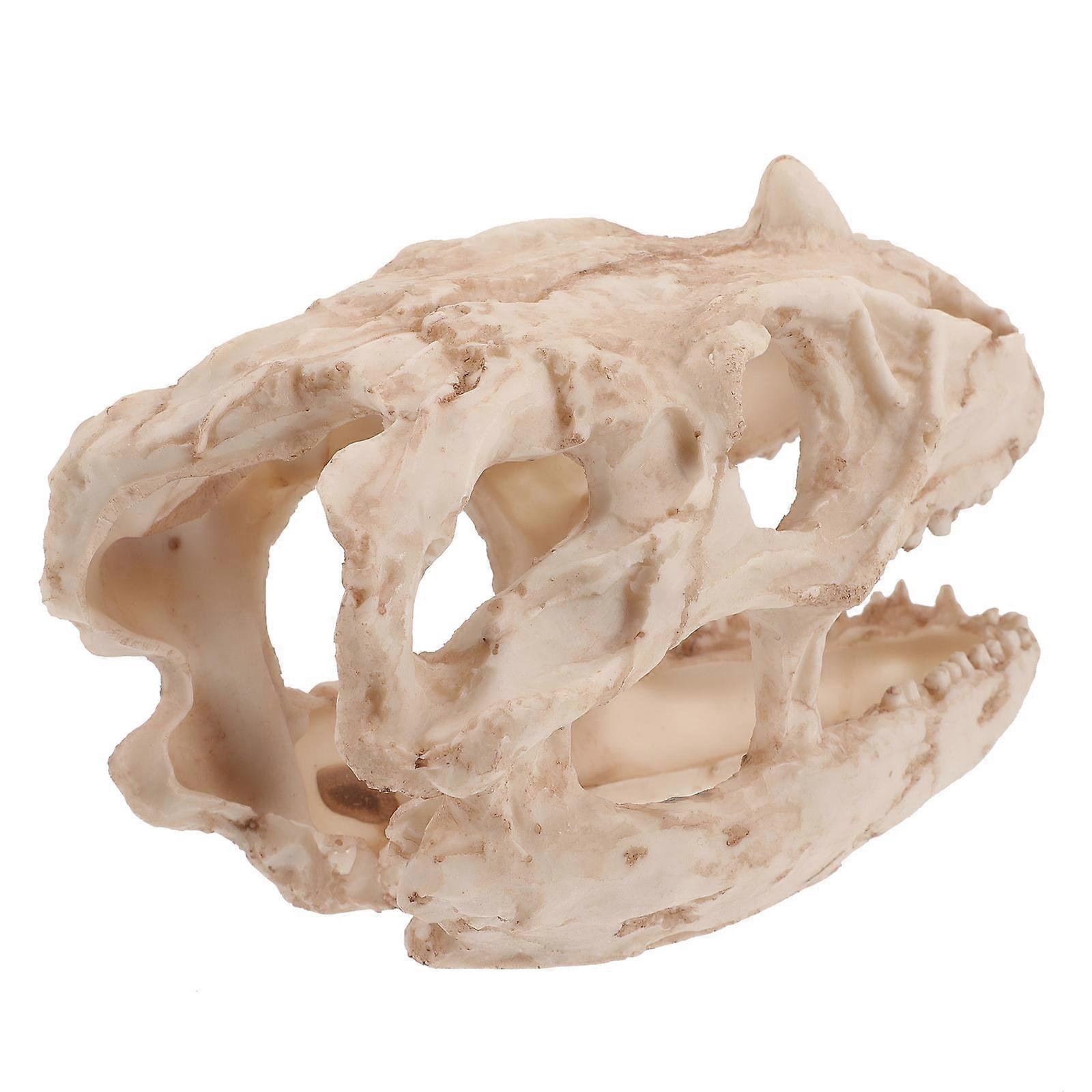 Fish Tank Decoration With Realistic Dinosaur Skull Hiding Spot For Aquatic Creatures 1Pack