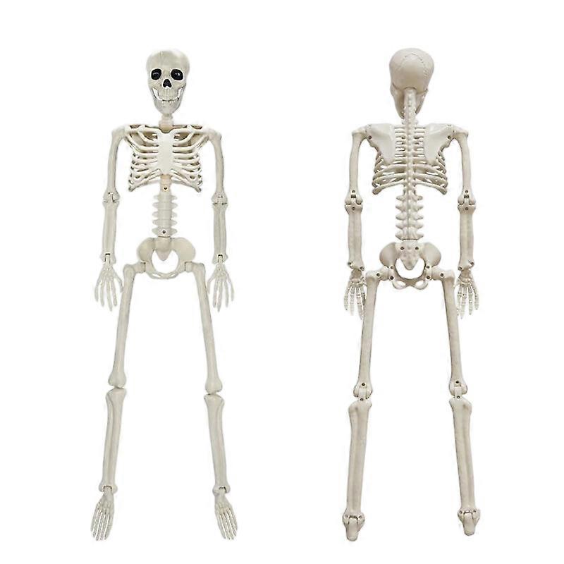 Simulated Skeleton, Plastic and Movable, 90CM, Haunted House Decorative Ornament