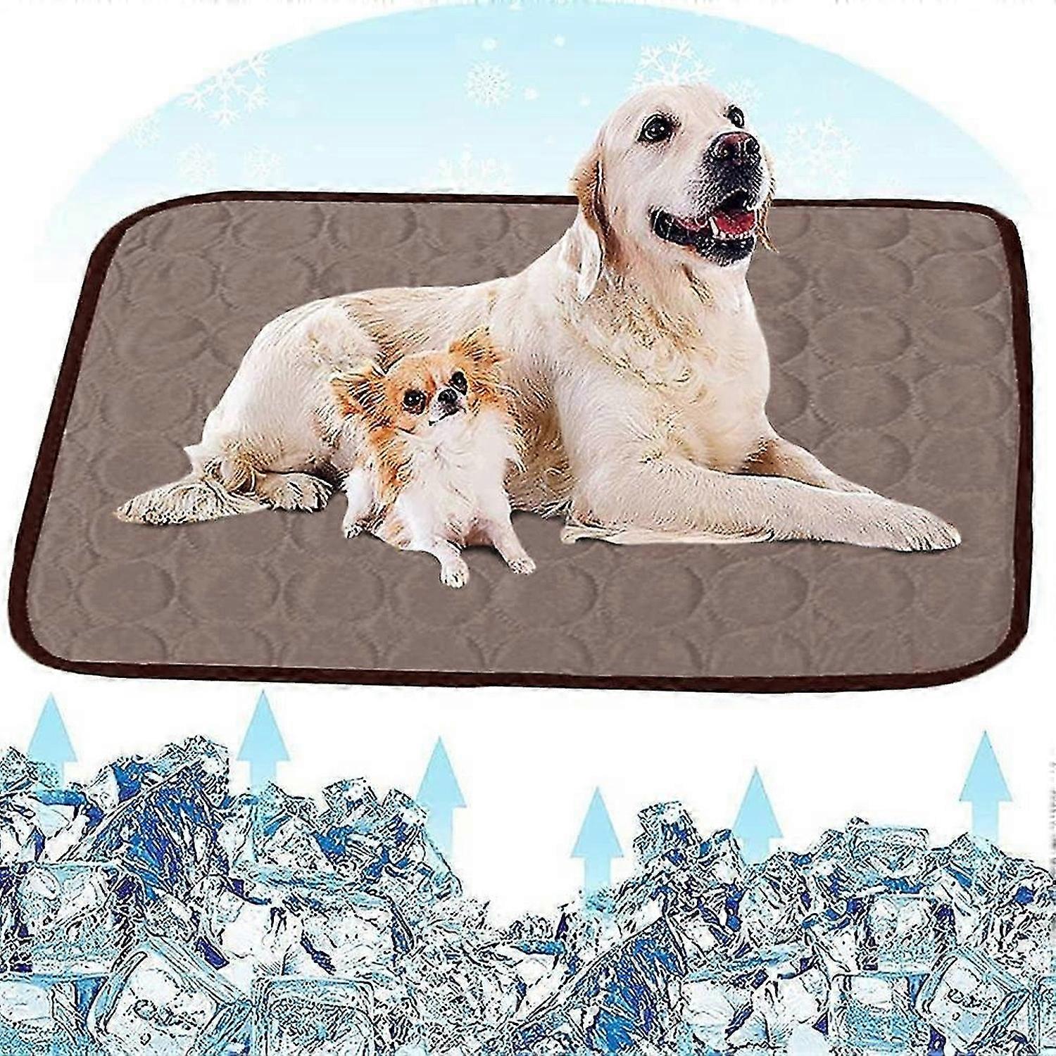 All In Cooling Mat Washable Non-Slip Soft Dog Mat for Pets Summer (55 x 70 cm Blue)