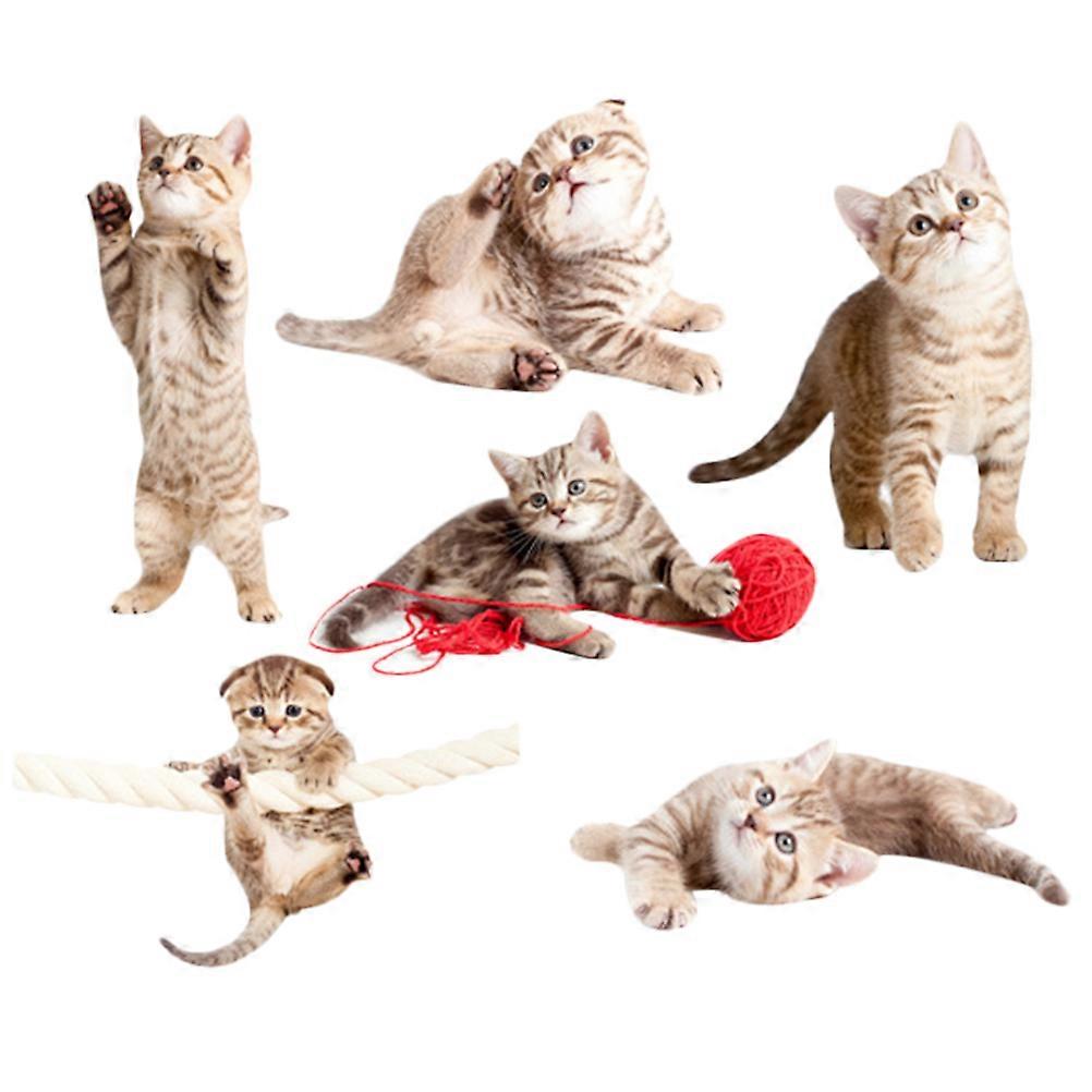 2Sets of Indoor Anti-Collision Window Clings for Bird Strike Alert