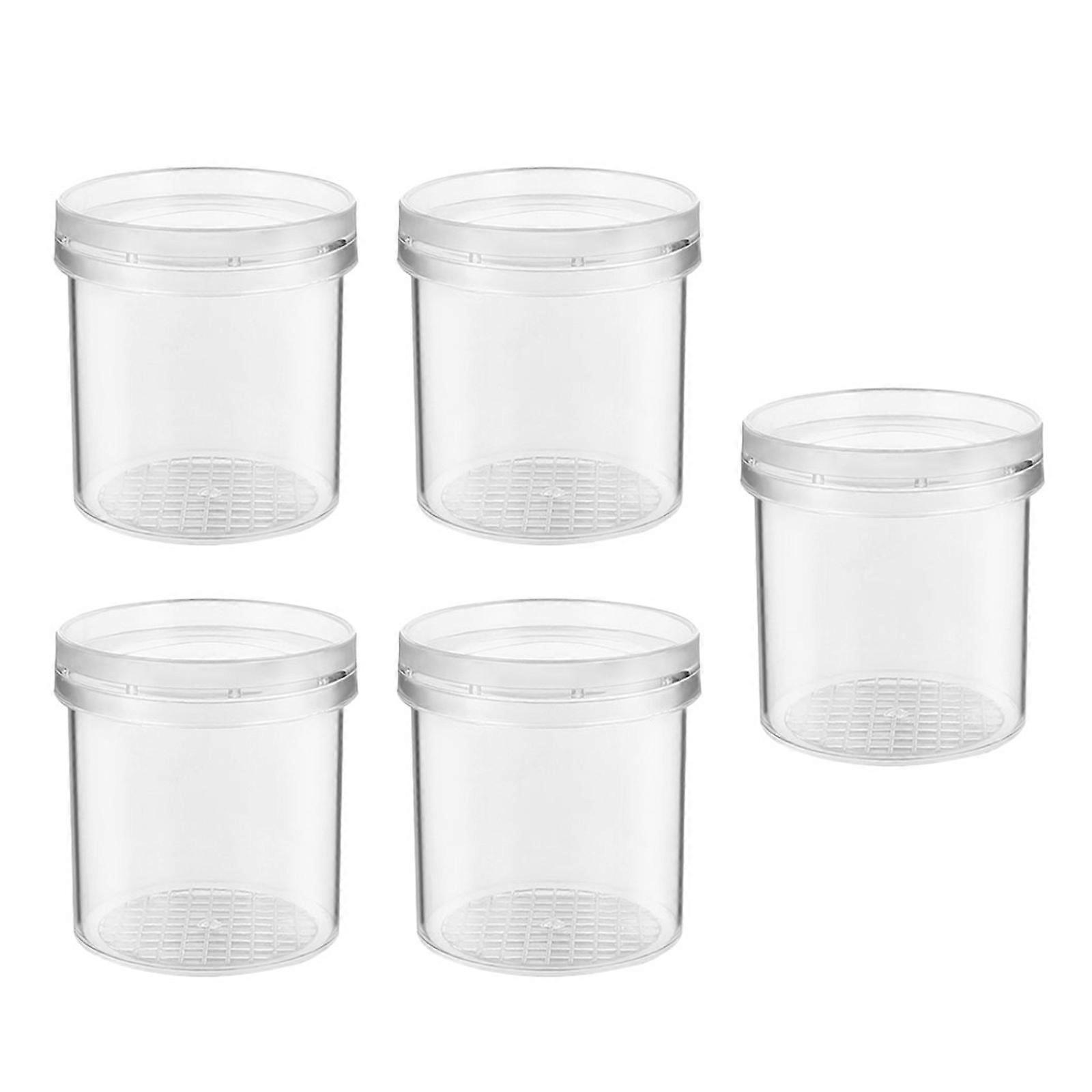 Bug Observation Tool for Educational Activities Transparent Plastic with Insect Observation Function 5Pcs