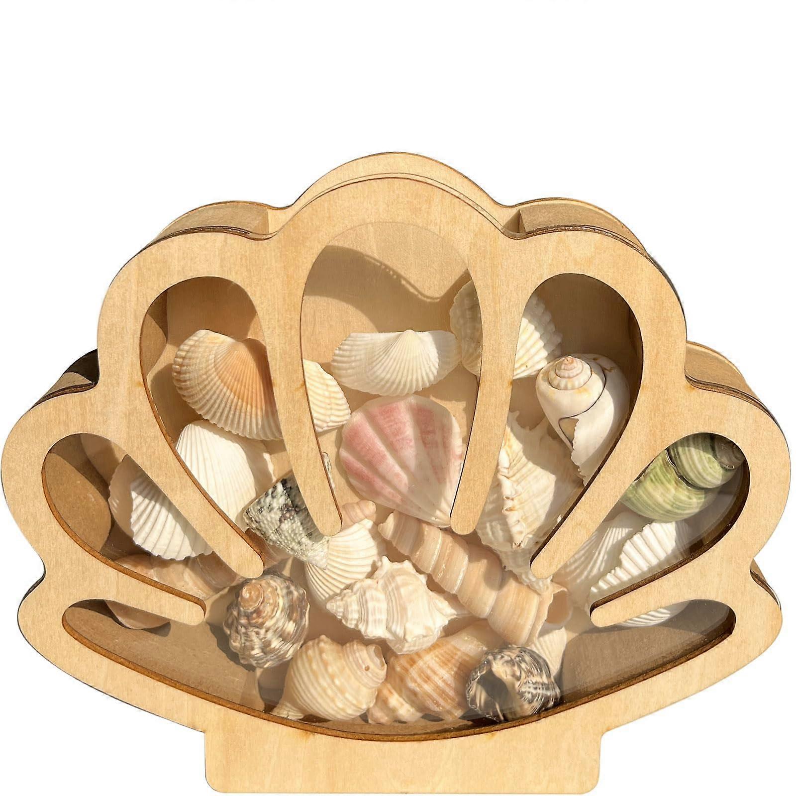 Wooden Seashell Display Case with Clear Acrylic Window, Coastal Shadow Box for Beach Memory Keepsakes