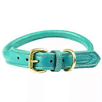 Rolled Leather Dog Collar - Teal
