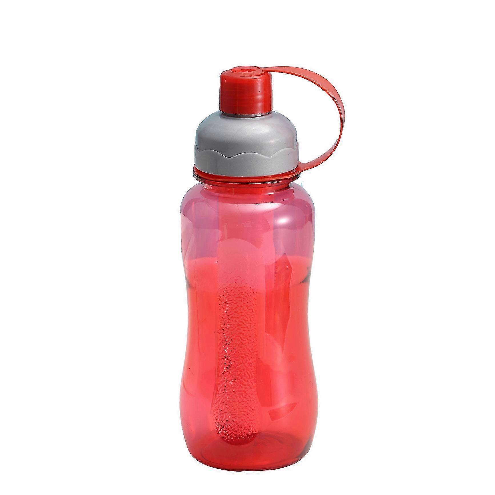 Removable Ice Core Bottle 500ml