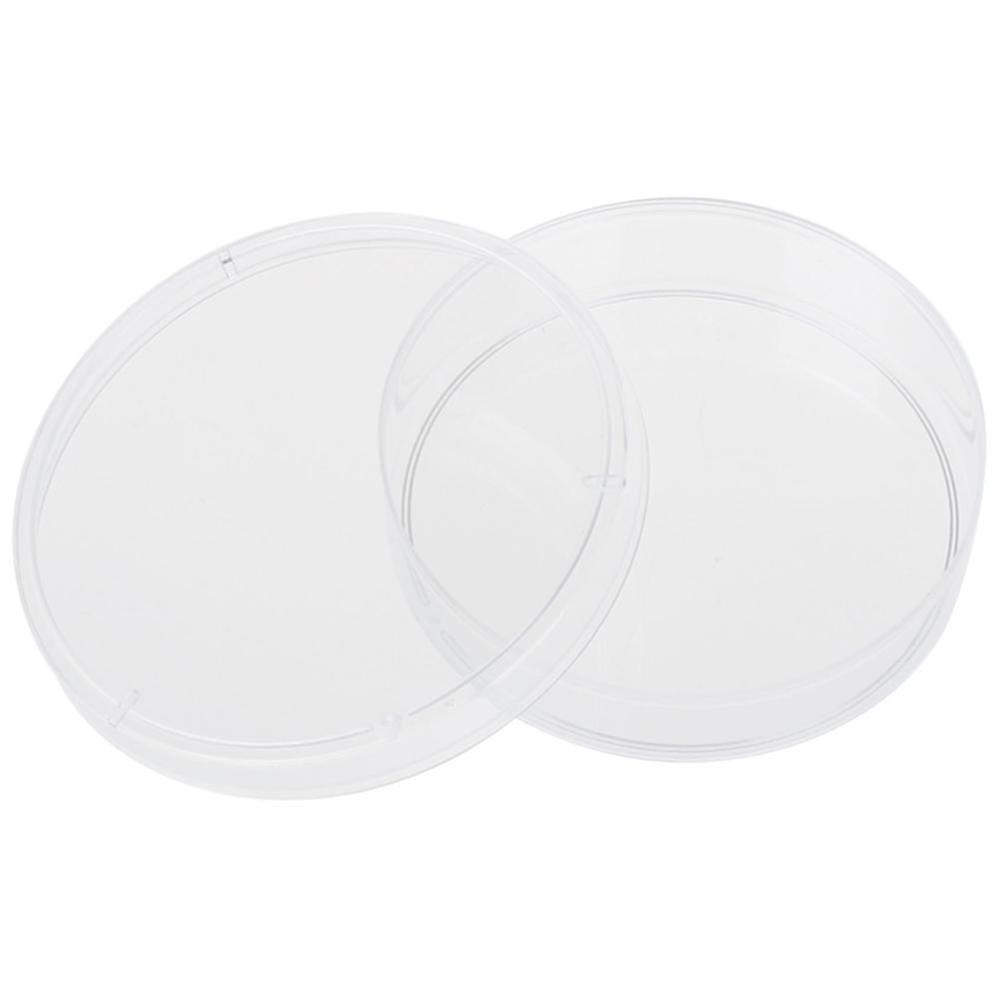 10 Pcs 60mm X 15mm Polystyrene Dishes With Lids Clear