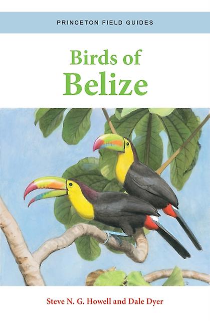 Birds Of Belize by Dale Dyer Paperback Book