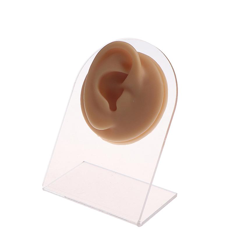1pcs Silicone Human Ear Piercing Model Display Puncture Simulation Teaching Tool