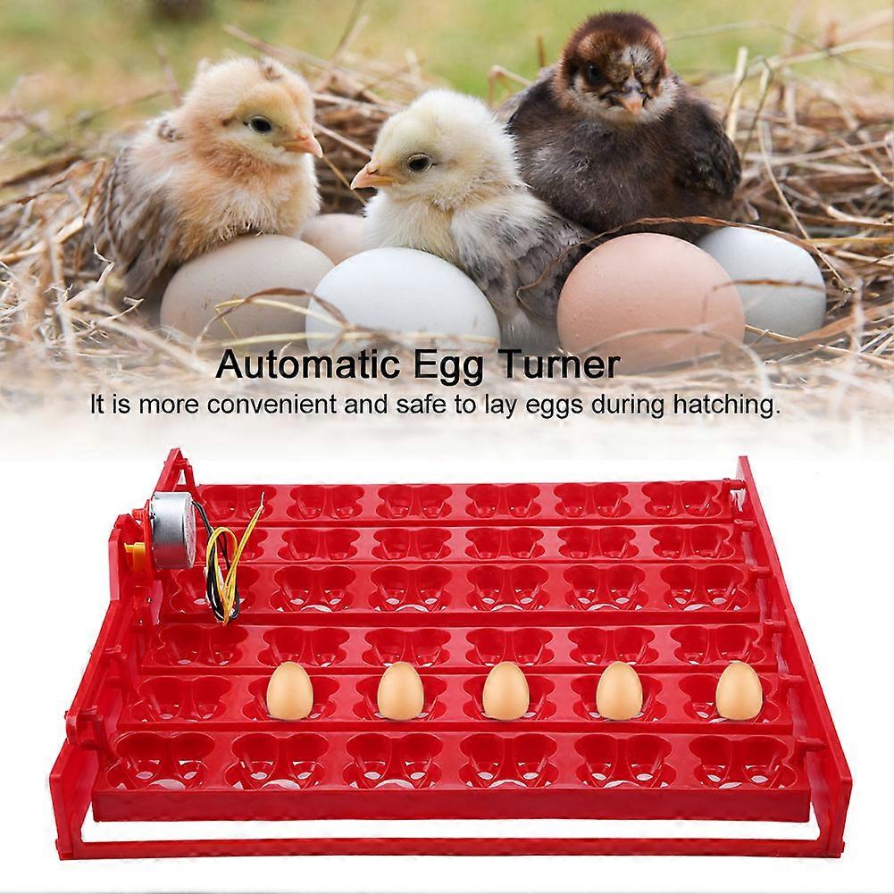 36 Eggs/144 Bird Eggs Incubator Hatcher Automatic Egg Turning Tray Tool (220V motor)