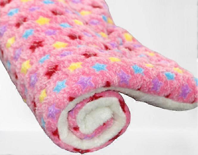 Pet Mat Thickened Warm Cat And Dog Blanket Cat Litter Dog Mat