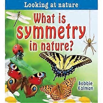 Was ist Symmetrie in der Natur?: 14