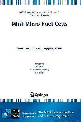 Mini-Micro Fuel Cells