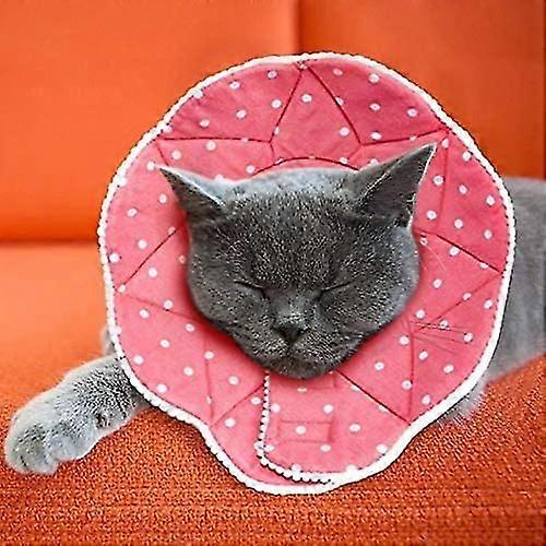 Komfortabel efter operation for katte og hunde, robust, vandtæt, modstandsdygtig over for scr