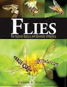 Flies by Stephen A. Marshall Hardback Book