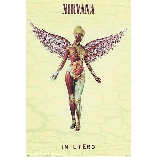 Nirvana In Utero Paper Poster