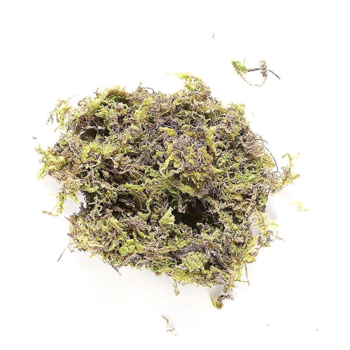 Moss For Floristry Dry Moss 100g Yellow Green DIY Gardening Topper Craft Projects 1 Bag