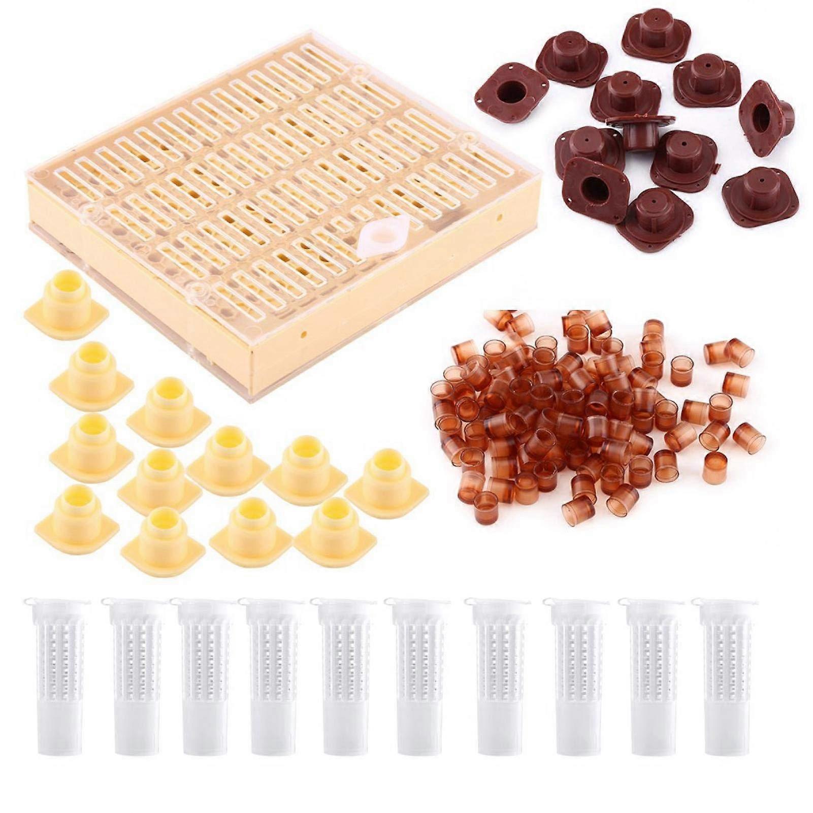 Beginner Transplant Kit Queen Bee Breeding Box, Complete Equipment for Beekeeping, Durable Design, Easy Setup
