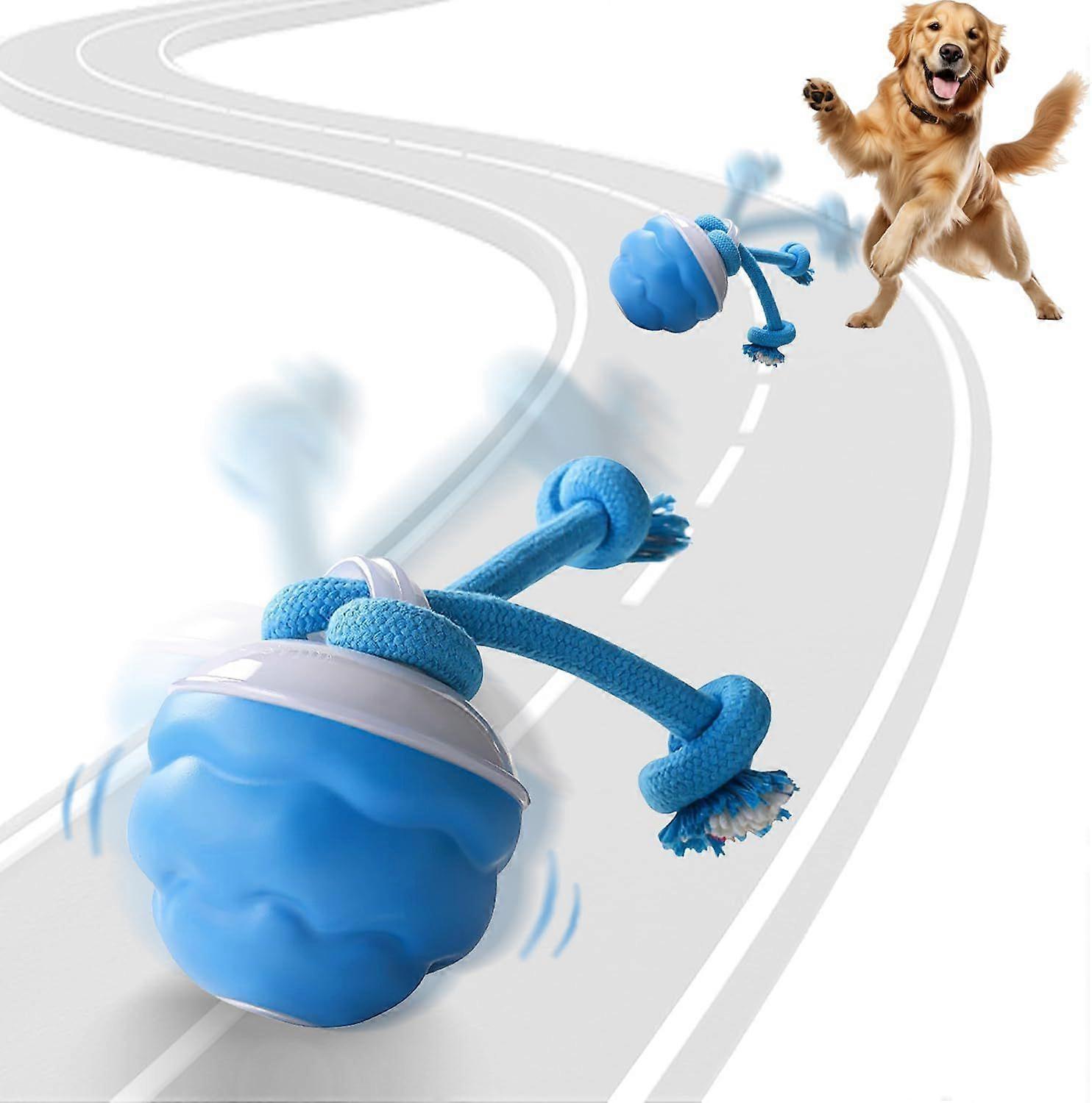 Interactive Dog Ball Toy with Rope - Bouncy Chew Toy for Dogs, Fun for Fetch & Tug - of - War, Durable Pet Play Equipment