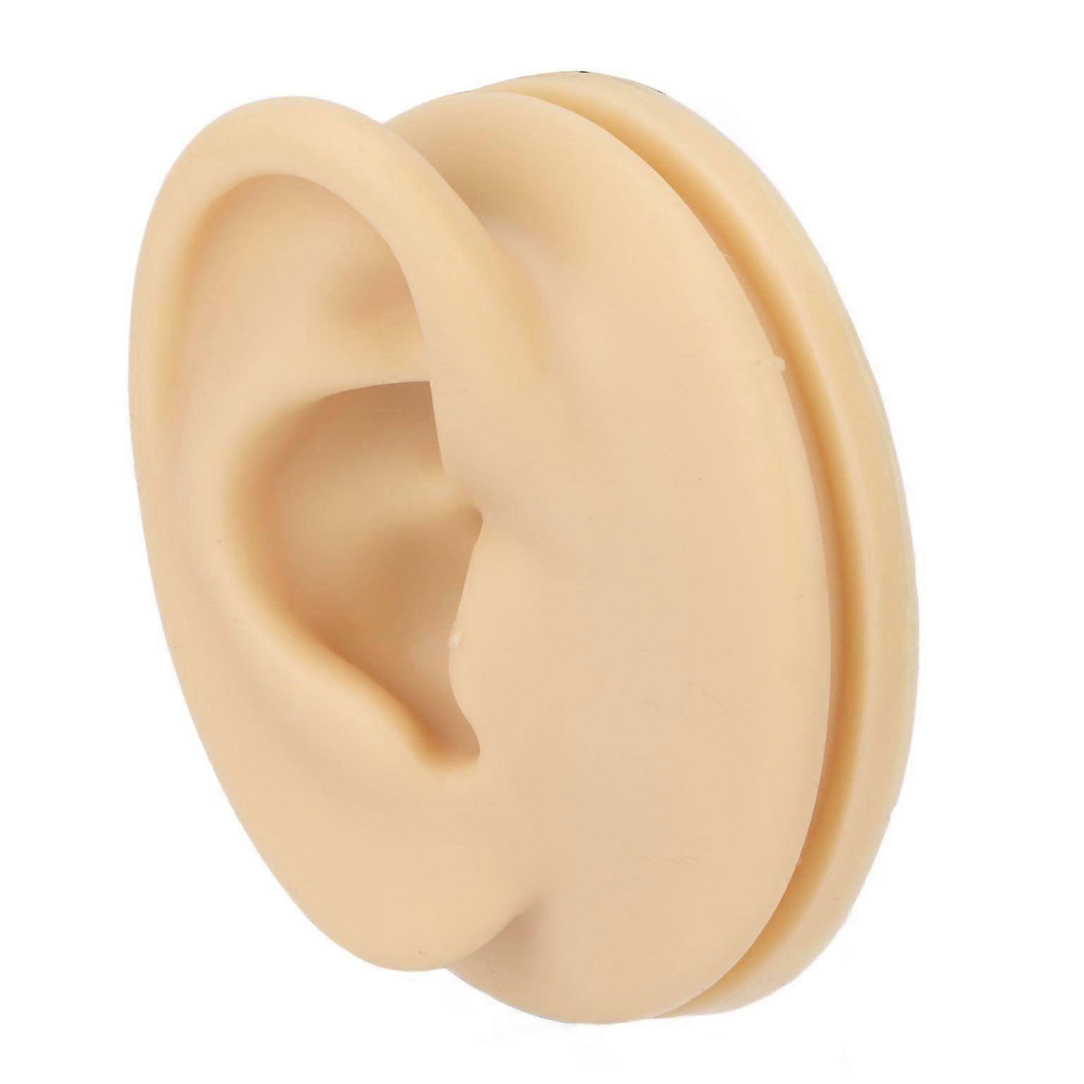 Human Right Ear Silicone Model