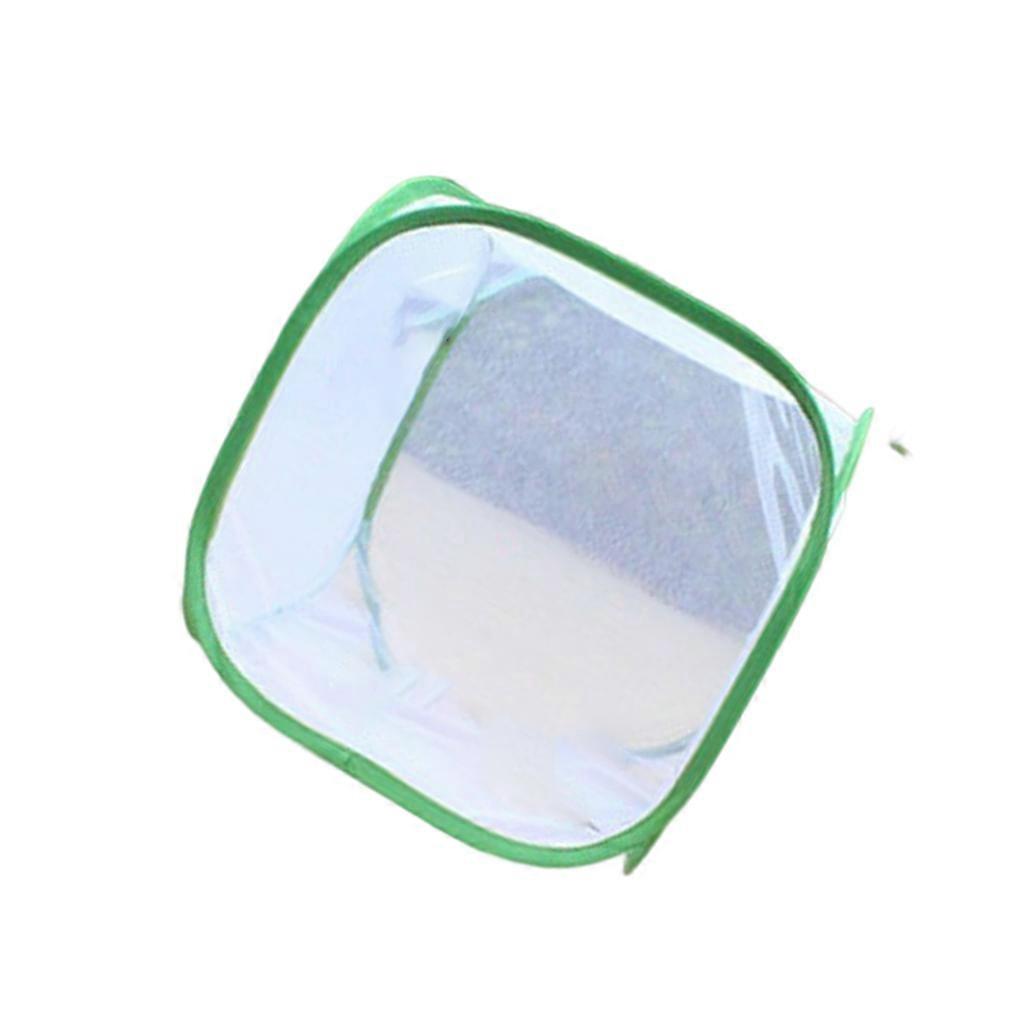 Filet à insectes pliable, cage incubatrice, filet de jardin pour intérieur et extérieur