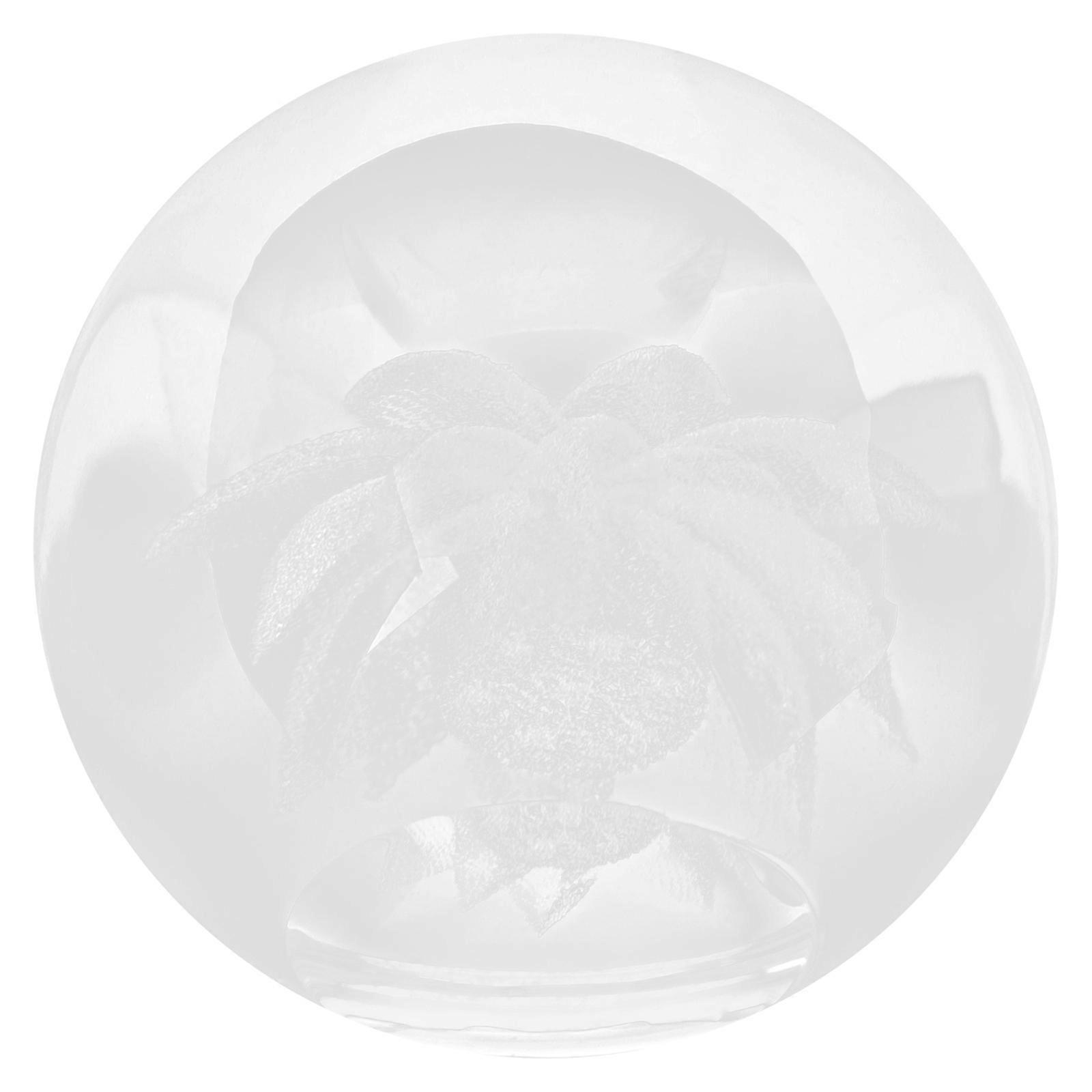 Transparent Teapot Lid Holder for Tea Ceremony Storage Included