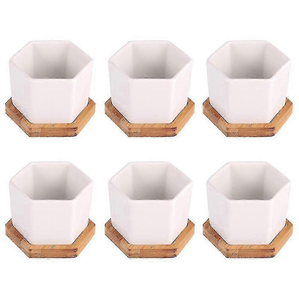 Simple White Creative Ceramic Small Hexagonal Plant Succulent 25-26
