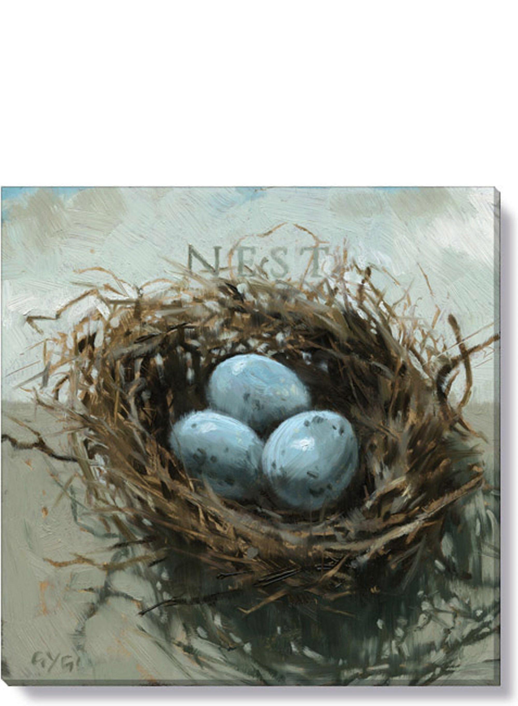 Nest Canvas, Giclée-Druck in Museumsqualität, Gallery-yezhibbb716