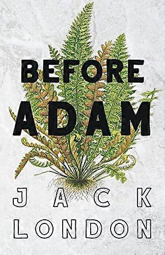 Before adam