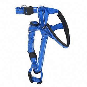 Outdoor Breathable Dog Head Collar & Harness with Adjustable Strap & Mouth Cover, Blue, L