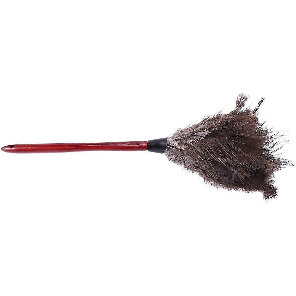 Gentle Anti-Static Extendable Duster