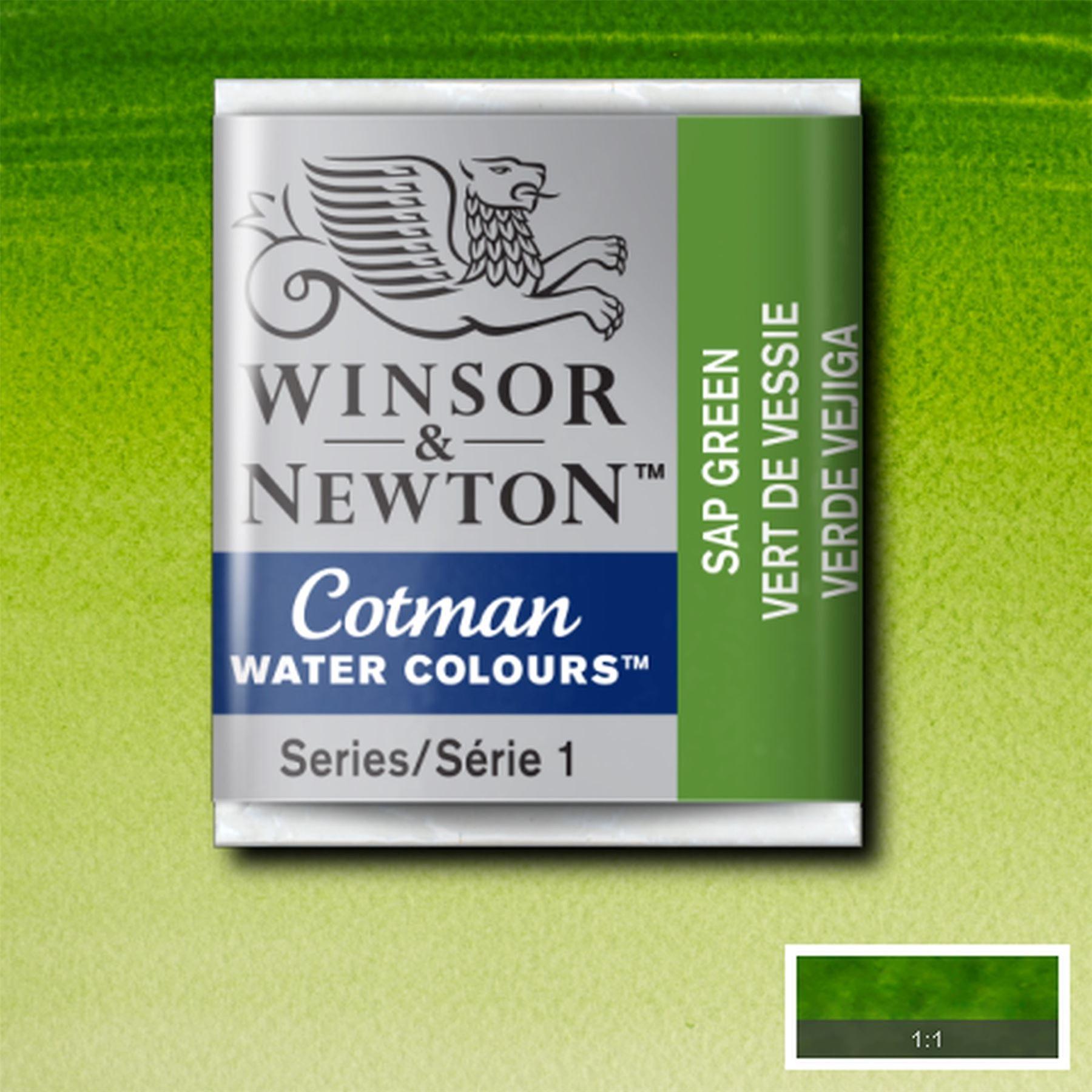 Winsor & Newton Cotman Watercolour Half Pan - Sap Green