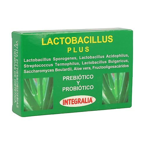 Lactobacillus Plus 60 capsules