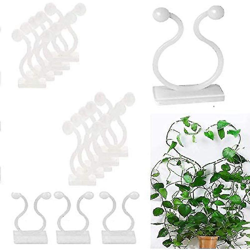 50 قطعة نبات كليب كابل العلاقات ذاتية اللصق نبات تسلق الجدار إغلاق مقاطع النبات يدعم Cl