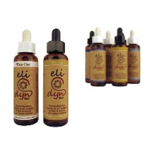 Oak 20 ml of floral elixir