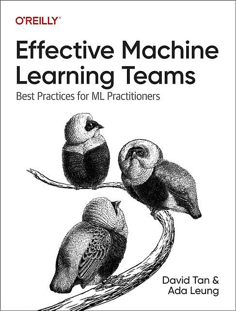 Effective Machine Learning Teams - David Colls - Information theory - O'Reilly Media - Paperback