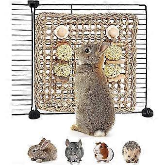 Guinea Pig Toys, Hamster Toys Syrian, Rabbit Boredom Breaker, Teething Toys Acsergery Gift