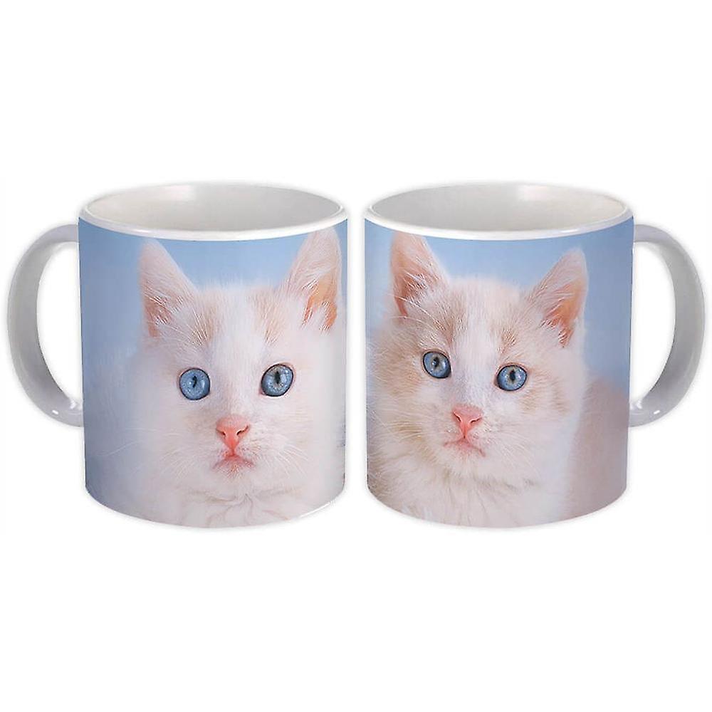 Geschenkbecher: Katze Kätzchen