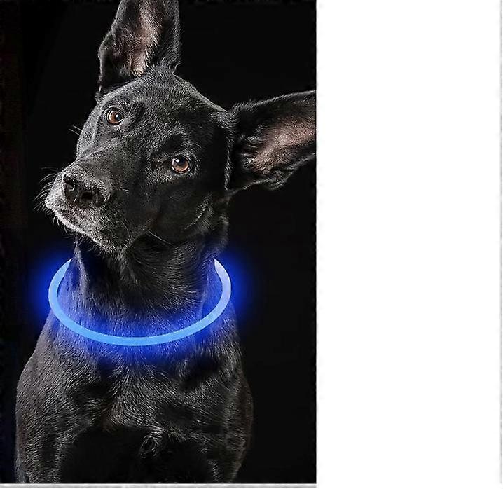 (Blue) 1 piece light up dog collar, USB rechargeable LED collar, fit to any size, safety collar for small, medium and large dogs.
