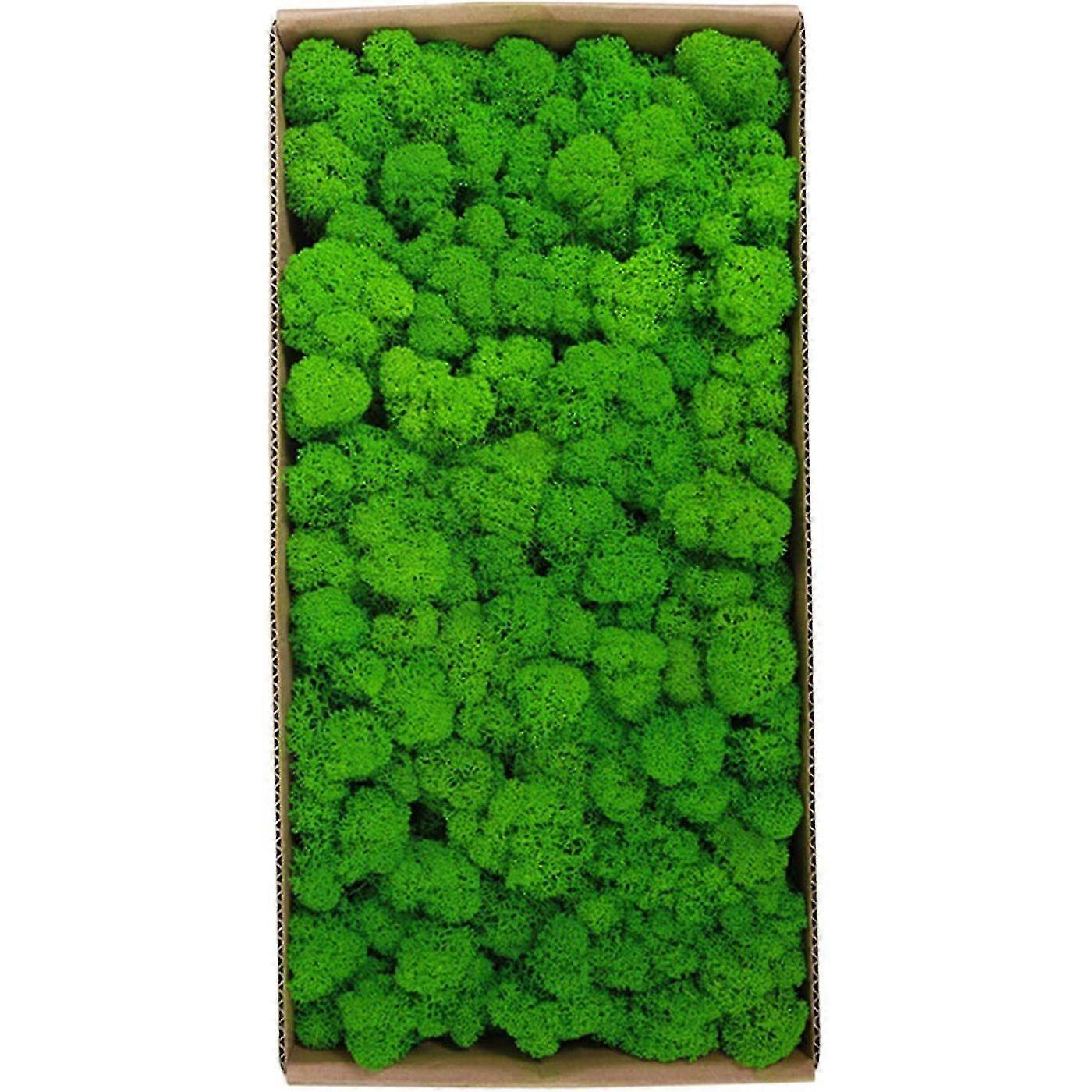 טחב משומר קישוט קיר אזוב משומר אמיתי אין צורך בתחזוקה טחב משומר באופן טבעי למסיבת קיר ביתית פסטיבלים-MXBC