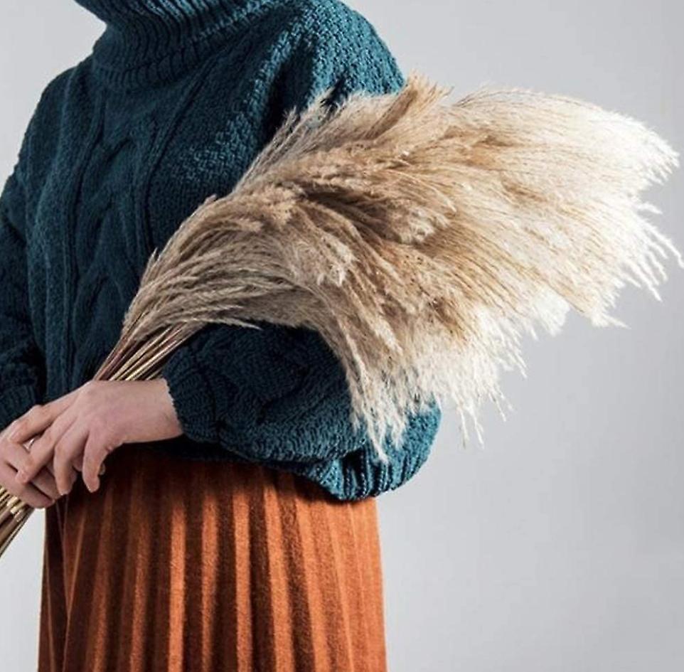 10 Pieces Decorative Grass Dried Flower