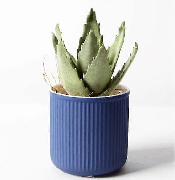 Planter, container and balcony Non-leaking and non-porous hydroponic ceramic planter 8*8cm (Blue without holes)