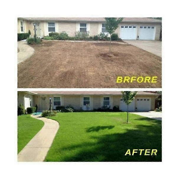 垫子 足球垫 花园垫 野餐草坪 花园草坪球场 20X1000cm