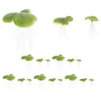 18pcs Aquarium Floating Plants Fish Tank Plants Fake Duckweed Decorations 25-26